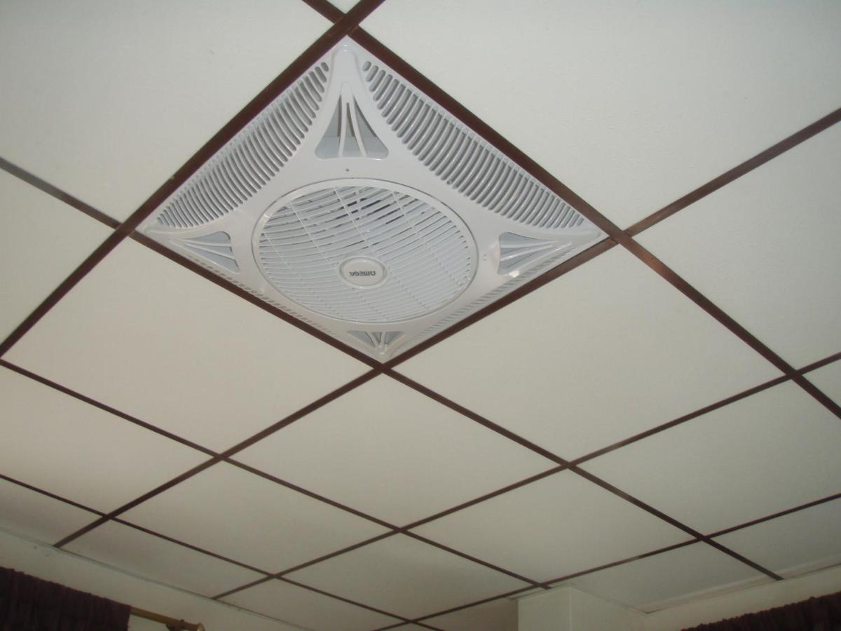 Hostal Limoncocha Tena Bagian luar foto